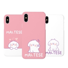 [슬림 하드] 말티즈