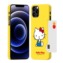 [SANRIO]산리오캐릭터즈 큐티 카드 3D곡면하드케이스