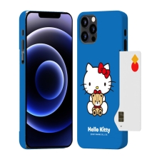 [SANRIO]산리오캐릭터즈 허그 카드 3D곡면하드케이스