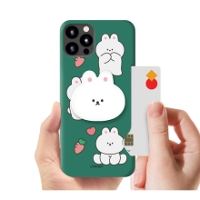 [TryCozy] 바니 푸드 에폭시톡 카드 3D곡면하드케이스